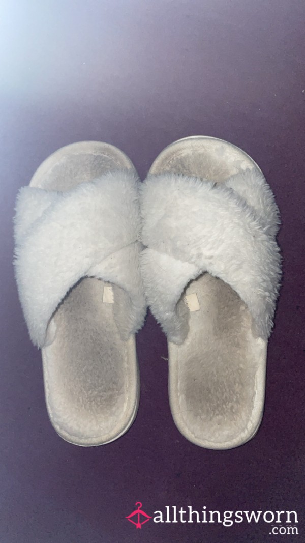 Well Worn Slippers