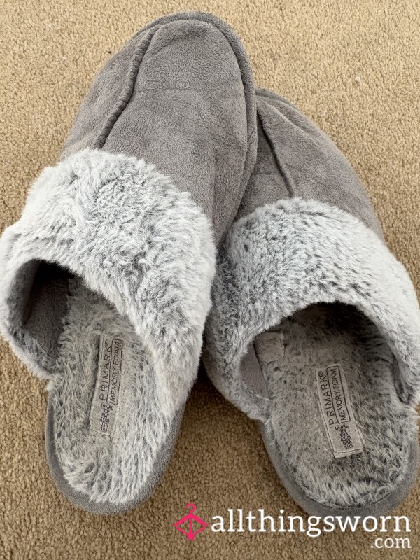 Well Worn Slippers