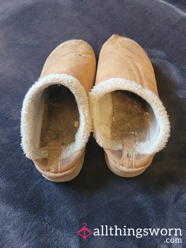Well Worn Slippers
