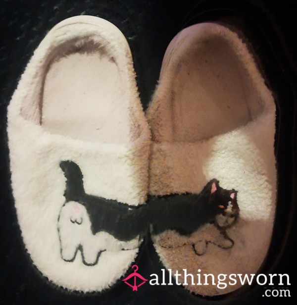 Well Worn Slippers