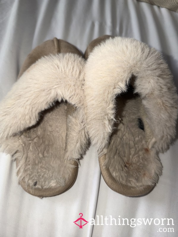 Well Worn Slippers Size 6