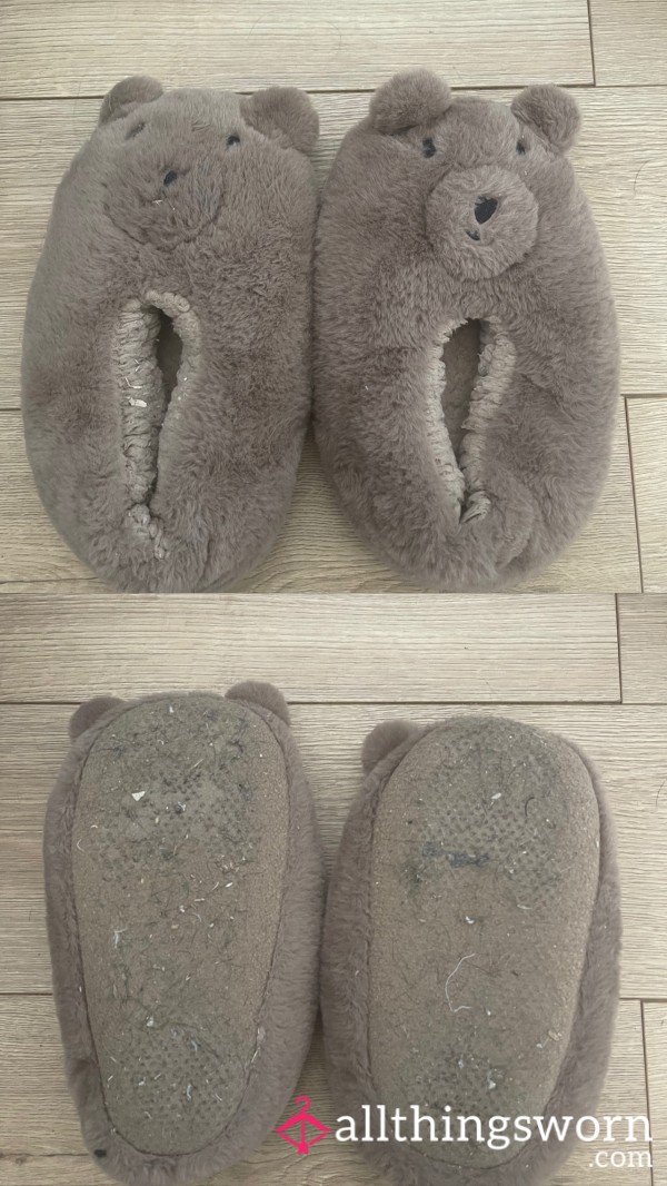 Well-worn Slippers