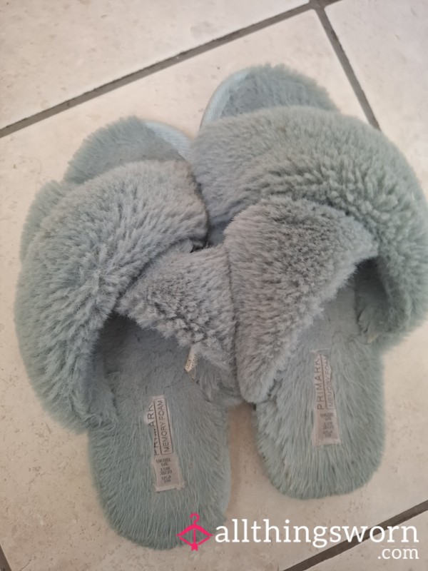 Well Worn Slippers