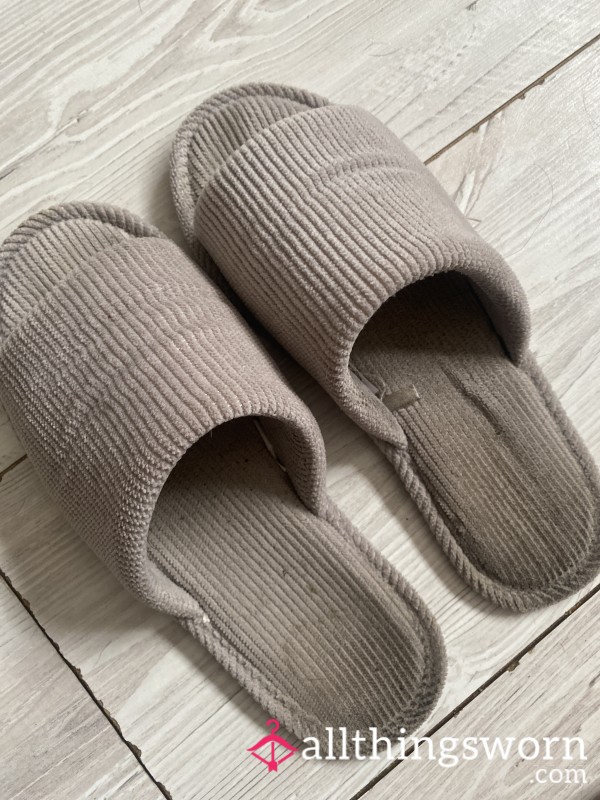 Well Worn Slippers