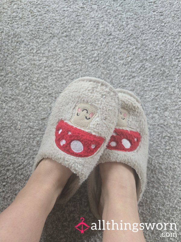 Well Worn Slippers