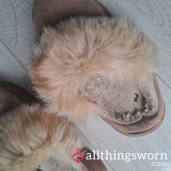 Well Worn Slippers