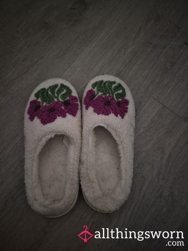 Well Worn Slippers