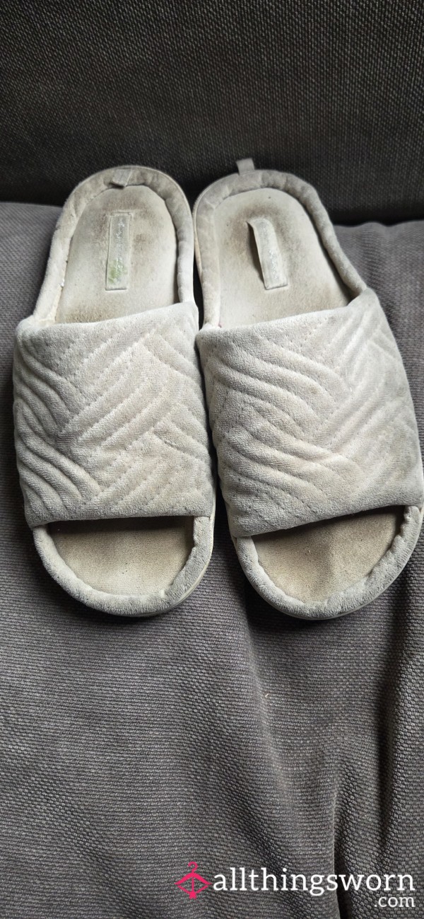 Well Worn Slippers