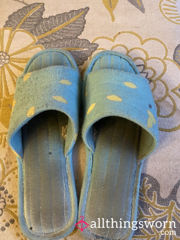 Well Worn Slippers ❤️