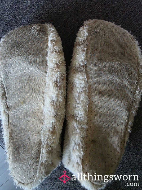Well Worn Slippers