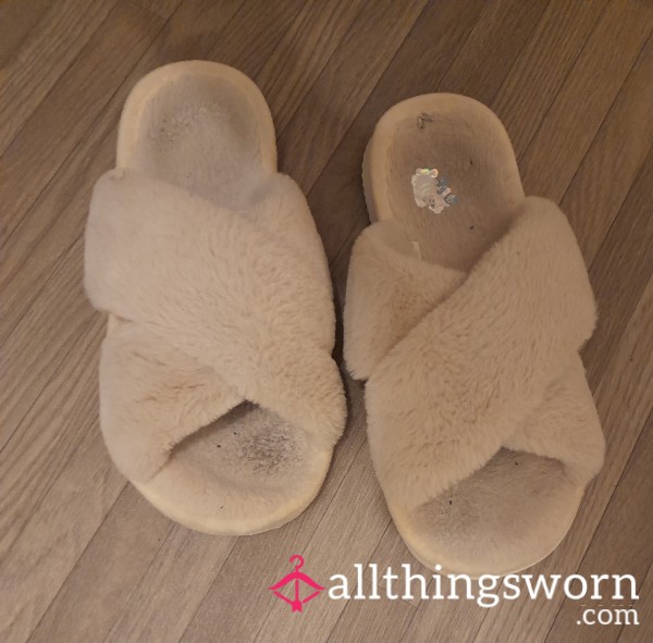 Well Worn Slippers