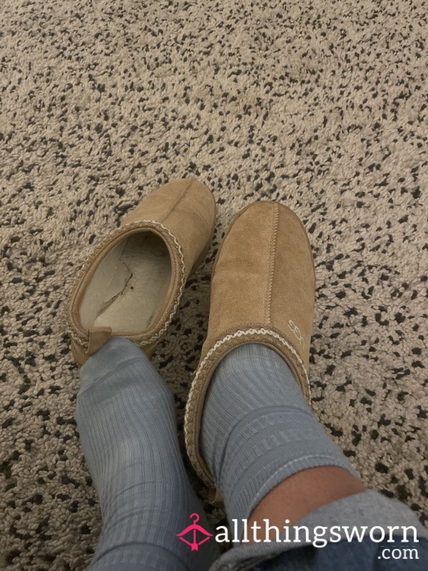 Well Worn Slippers