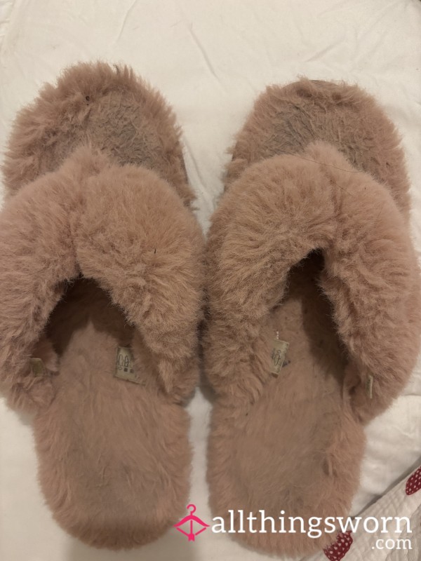 Well Worn Slippers