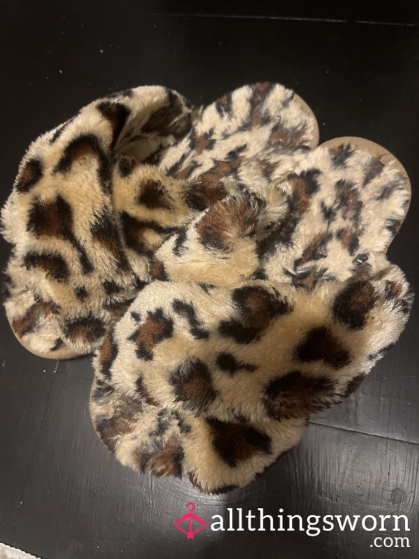 Well-Worn Slippers