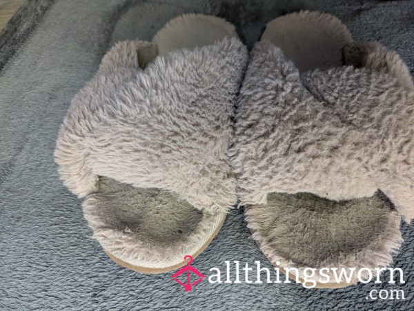 Well Worn Slippers