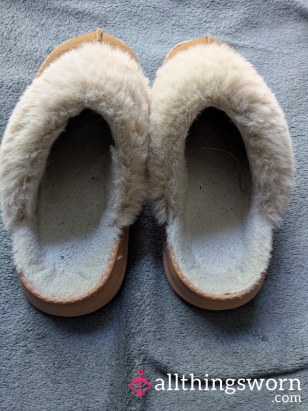 Well Worn Slippers