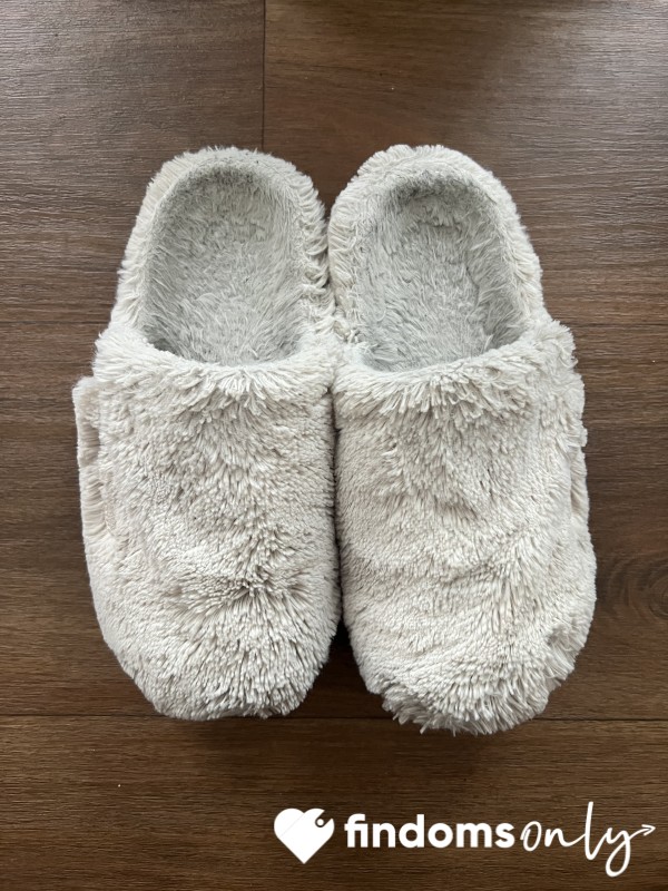 WELL WORN SLIPPERS