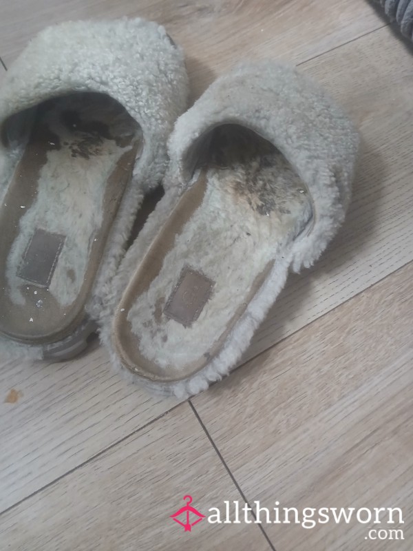 Well Worn Slippers