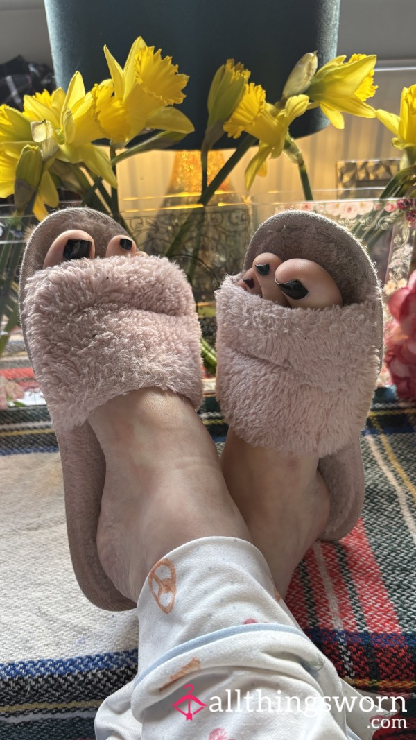 Well Worn Slippers