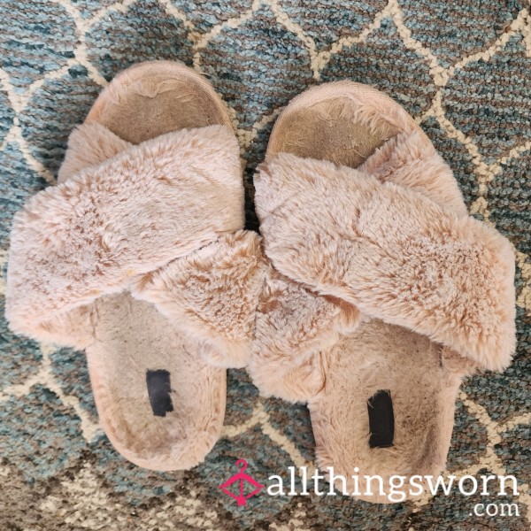 Well Worn Slippers