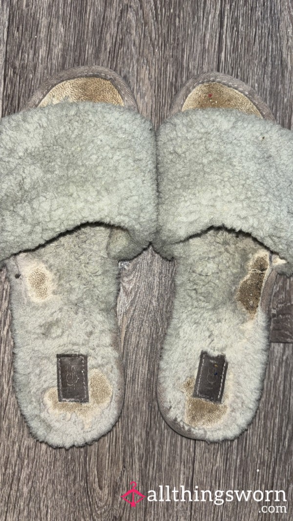 Well Worn Slippers