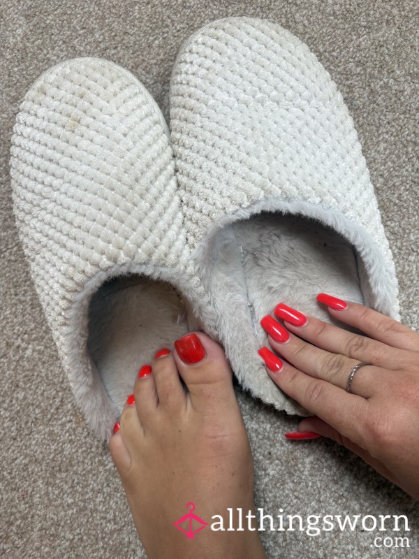 Well Worn Slippers