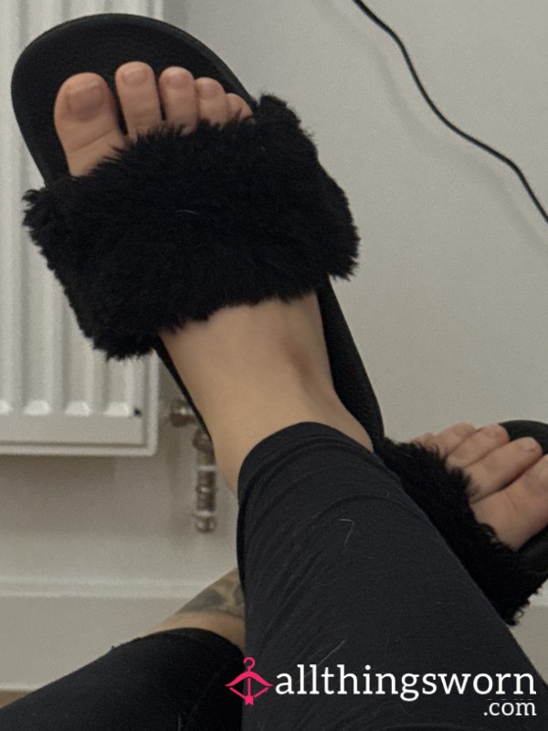 Well Worn Slippers