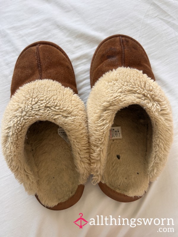 Well Worn Slippers, Nearly A Year Old