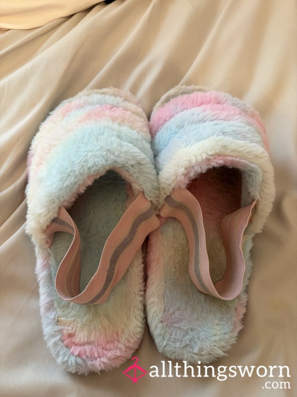 Well Worn Slippers Size 6