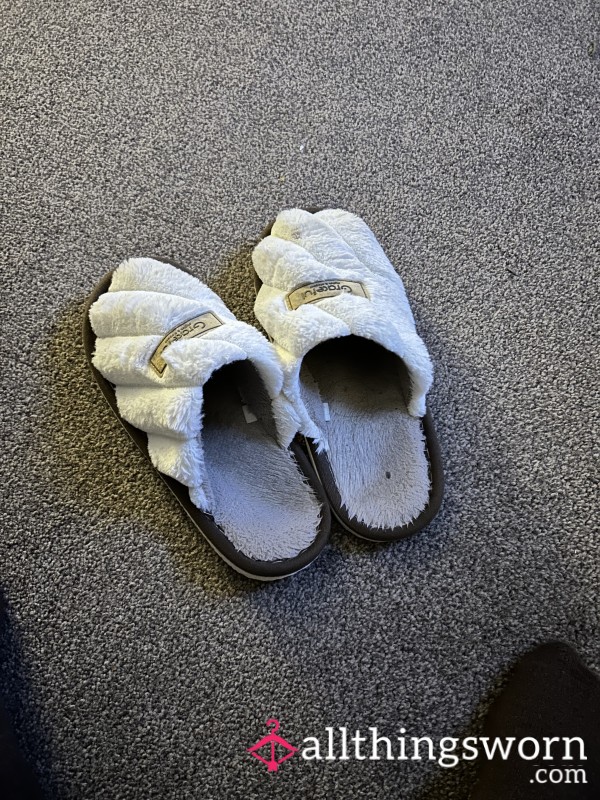 Well Worn Slippersslippers