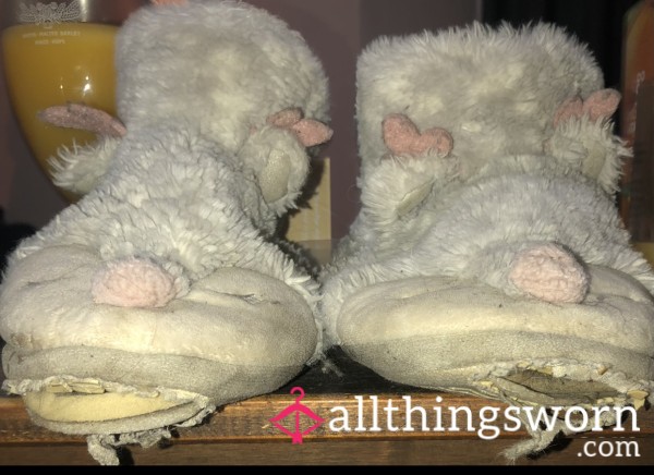 🤮Well Worn Smelly Slippers🤮
