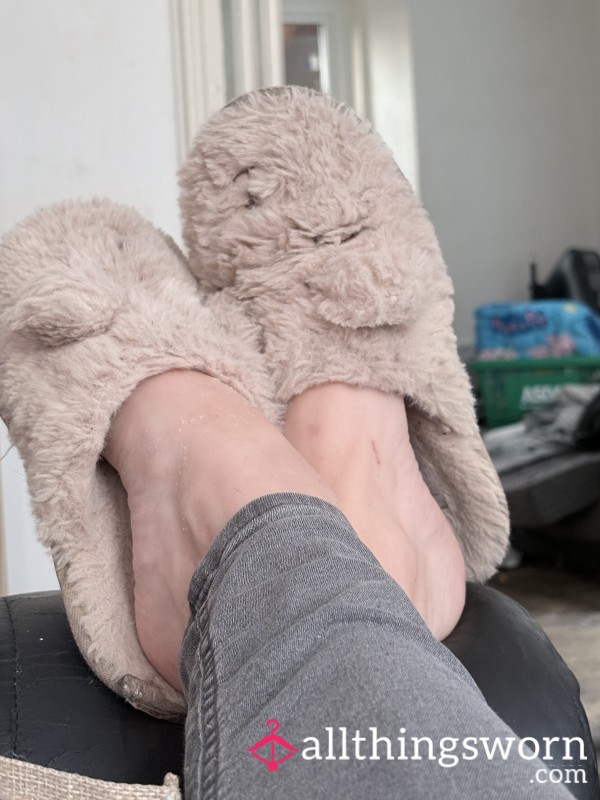 Well Worn Smelly Slippers