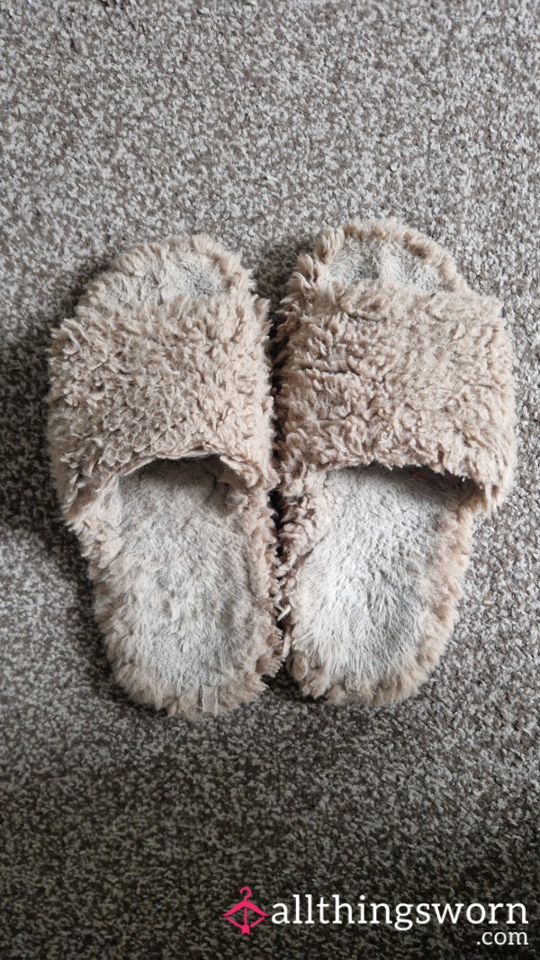 Well Worn Smelly Slippers