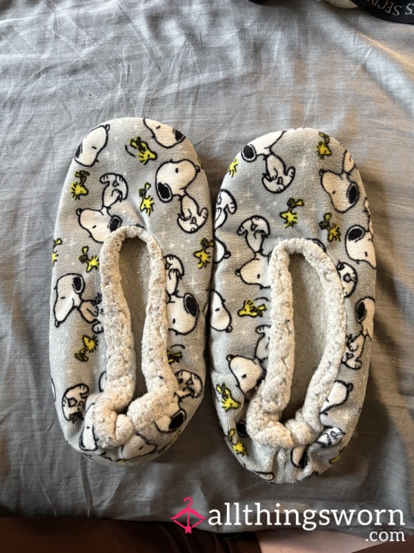 Well Worn Snoopy Slippers
