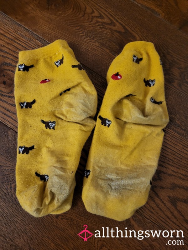 Well Worn Socks