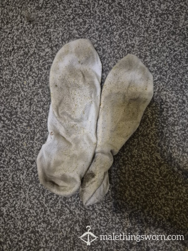 Well Worn Socks