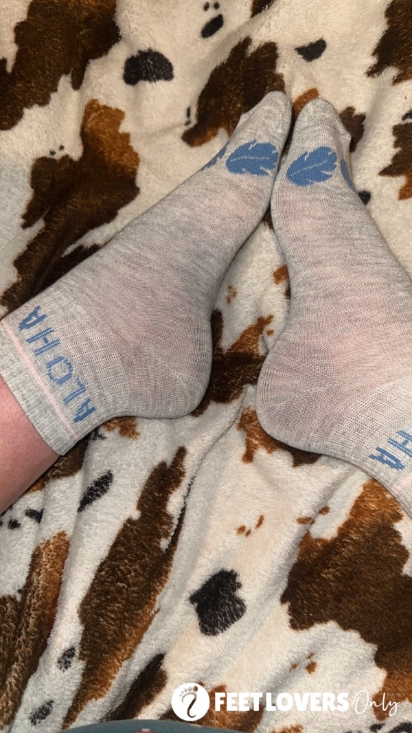 Well-worn Socks (Stitch Socks)