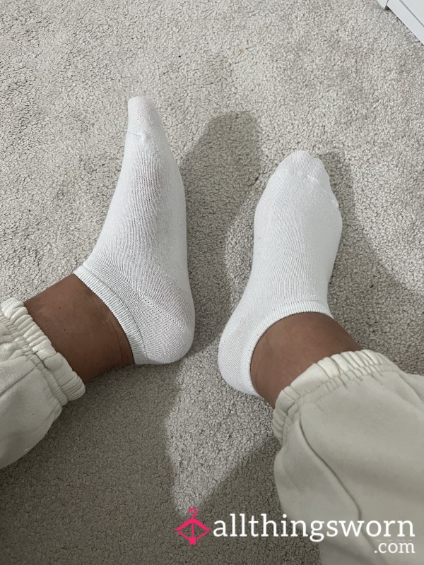 Well-worn Socks With A Full Day’s Scent 🧦 Ready For Their New Owner