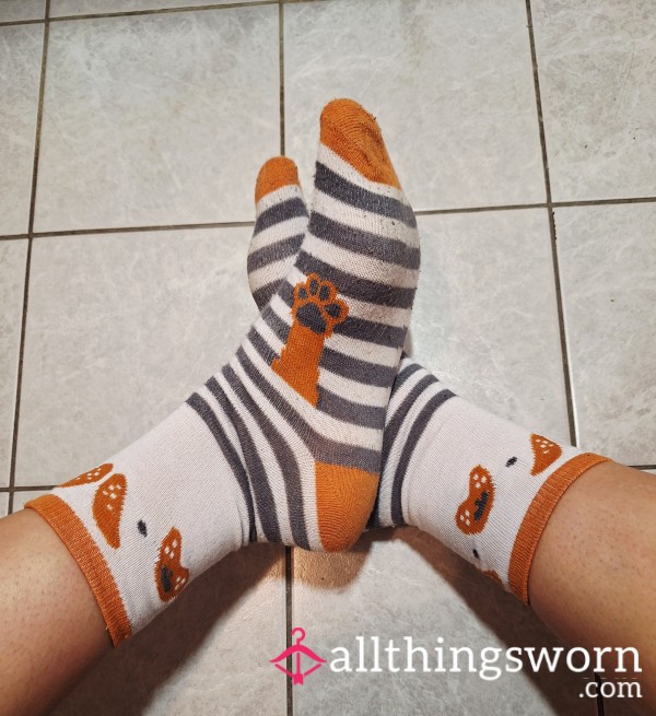 Well-worn Stinky Socks With Paws💋