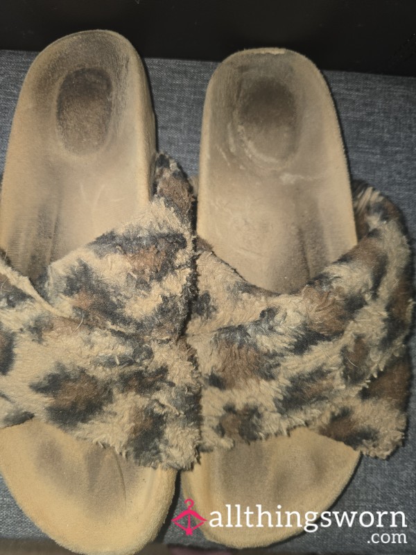 Well Worn Stinky Slippers