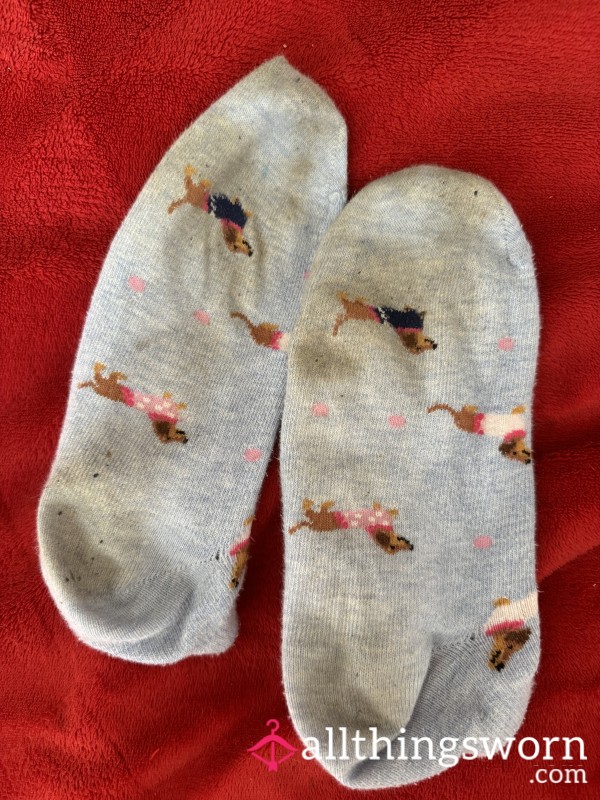 Well Worn Stinky Socks