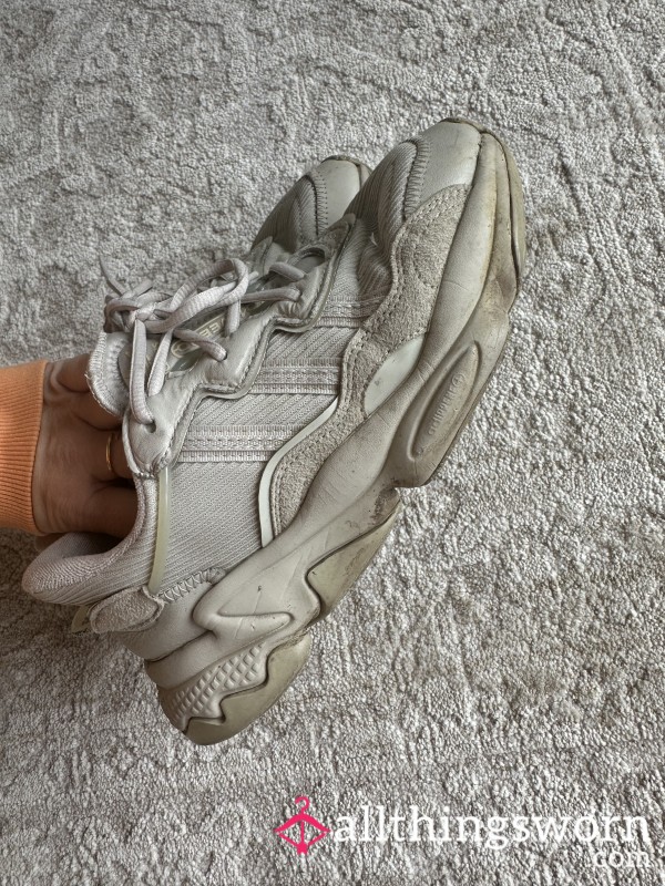 Well Worn Stinky Trainers