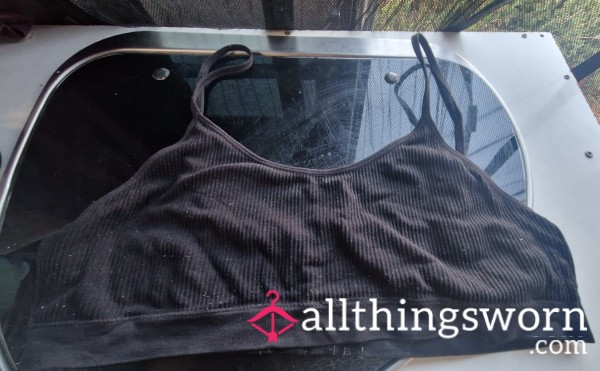 Well Worn Sweaty Bra