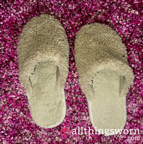 Well Worn Sweaty Slippers