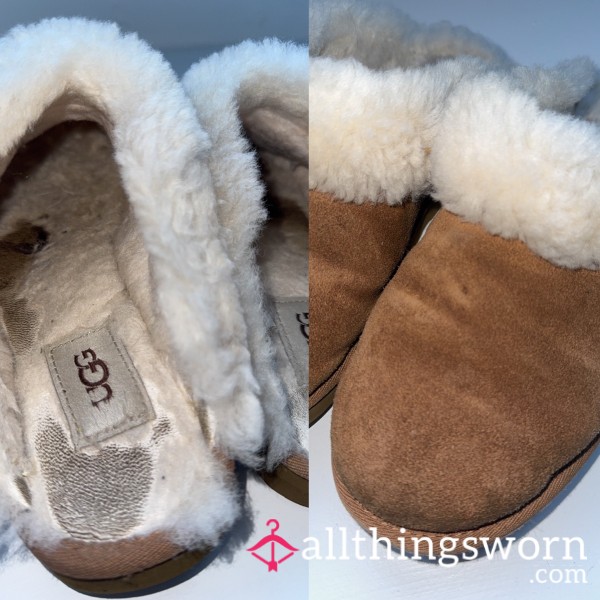 Well Worn UGG Slippers