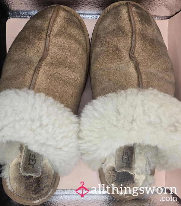 Well Worn Ugg Slippers