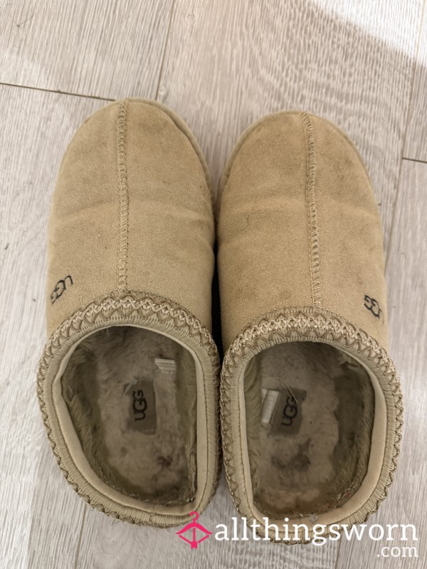 Well Worn Ugg Tasman’s