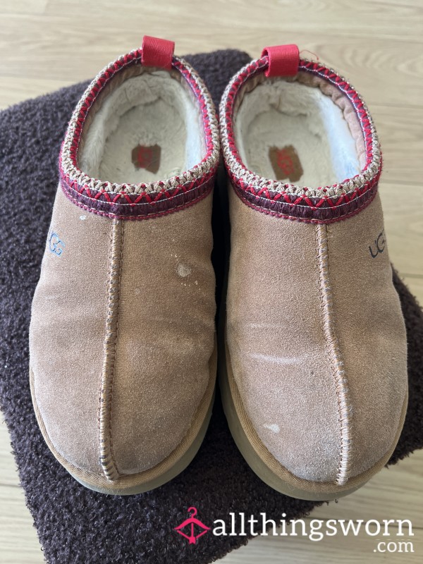 Well Worn Uggs Slippers.
