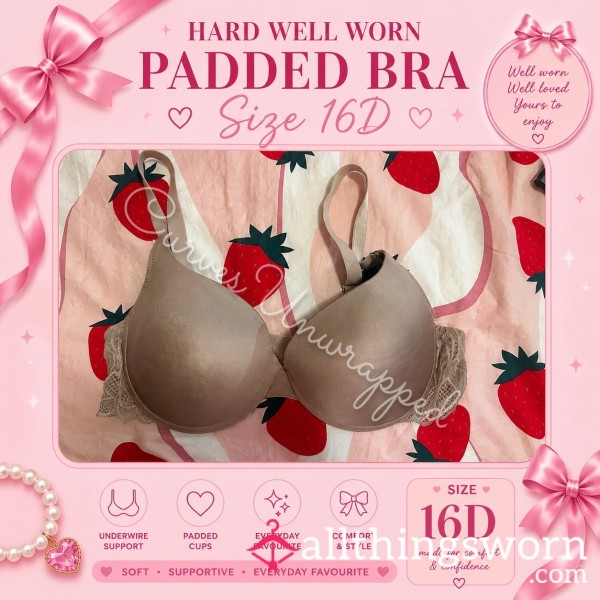 💗 Well Worn Underwire Padded Bra 💗 ~ ✨ Size 16D ✨