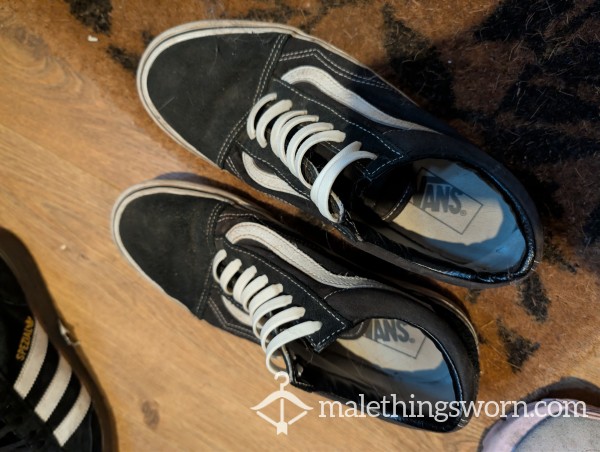 Well Worn Vans
